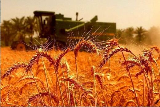 سنگرهای طلایی، سفره‌های آرام / روایتی از فرماندهان خاموش امنیت غذایی در روزهای التهاب