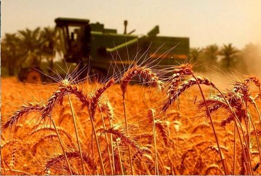 سنگرهای طلایی، سفره‌های آرام / روایتی از فرماندهان خاموش امنیت غذایی در روزهای التهاب