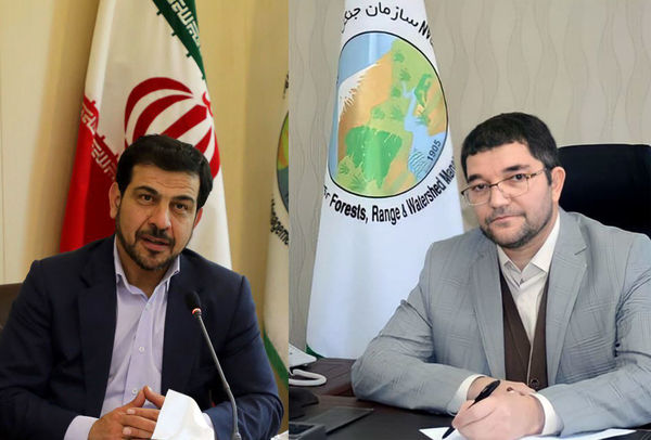 تجلیل از عملکرد مطلوب دکتر مهردادی در برنامه اقدام جهش سازمان جنگلها،مراتع و آبخیزداری کشور