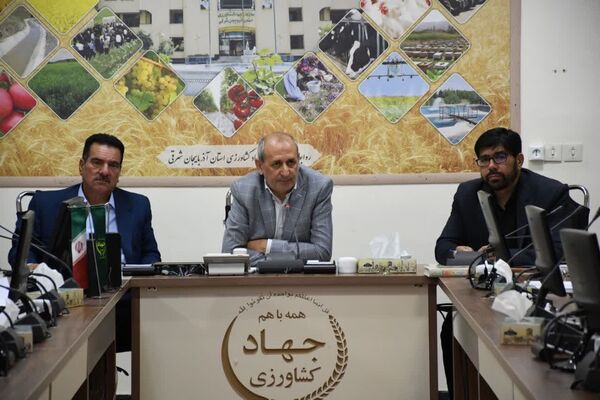 فعالیت 19 واحد فرآوری گیاهان دارویی با ظرفیت 22 هزار و 115 تن در آذربایجان شرقی 
