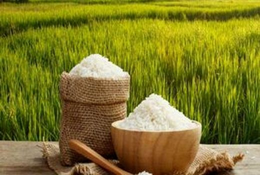 افزایش تولید محصولات کشاورزی به‌ویژه برنج