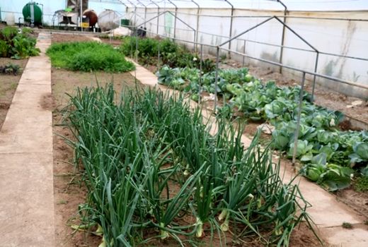 دیدار کشاورزان و مدیران جهاد کشاورزی با اعضاء کمیسیون کشاورزی، آب و منابع طبیعی مجلس شورای اسلامی و معاون زراعت وزیرجهاد کشاورزی