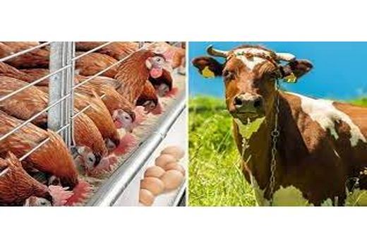 پرداخت 47 میلیارد تسهیلات سرمایه در گردش در کلاردشت