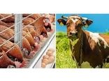 پرداخت 47 میلیارد تسهیلات سرمایه در گردش در کلاردشت