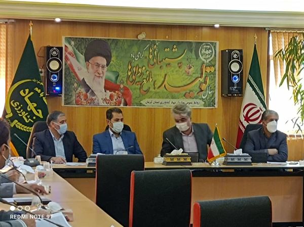 اجرای کشت قراردادی کلزا در استان کرمان 