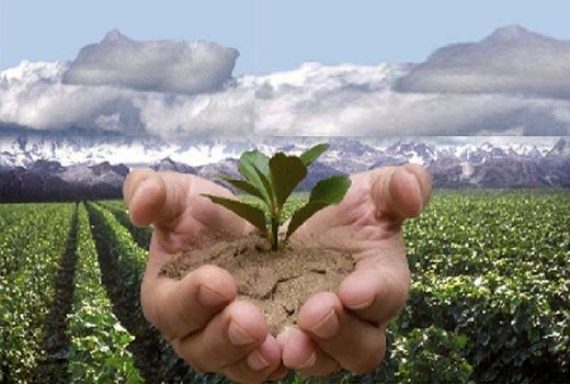  اثربخشی پروژه های تولیدات گیاهی با الگو سازی مناسب و صحیح ممکن می شود