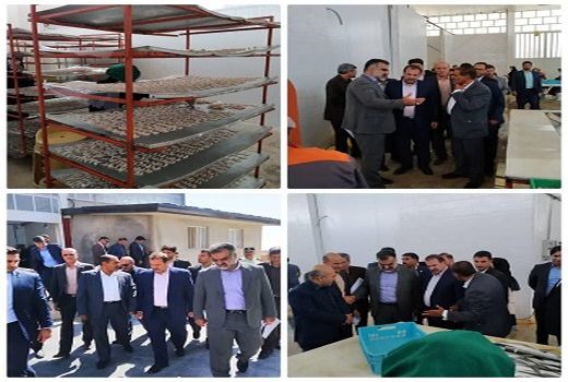 یک واحد بسته‌بندی آبزیان در شیراز گشایش یافت