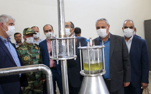 شهرستان مرند در تولید گل محمدی رتبه سوم استانی را به خود اختصاص داده است
