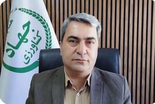 روایتی از تلاش جهاد کشاورزی کهگیلویه و بویراحمد در روزهای نبرد
