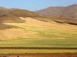 نقشه خاک  ۲۲ میلیون هکتار از اراضی کشاورزی کشور باید به‌روزرسانی شود