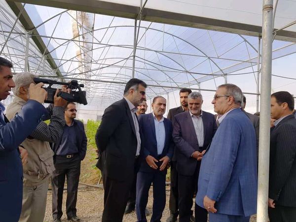 بازدید وزیر جهاد کشاورزی از گلخانه سبزی و صیفی در سپیدان