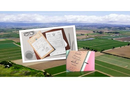 51 فقره سند مالکیت اراضی کشاورزی در تنکابن صادر شد