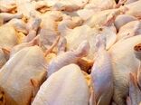 آغاز خرید حمایتی مرغ از ۲۳ شهریور ماه