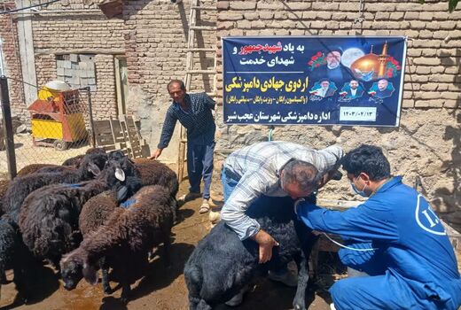 برگزاری 180 مرحله اردوهای جهاد دامپزشکی در مناطق کم برخوردار استان آذربایجان شرقی 