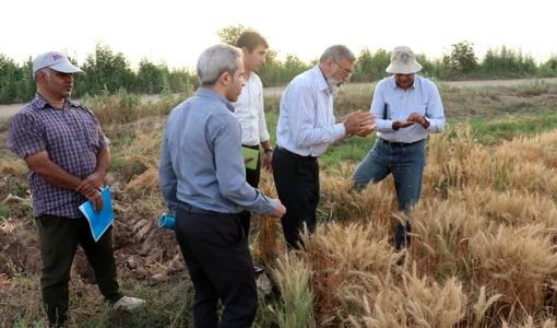 میزان اجرای دستاوردهای پژوهشی در مزرعه را رصد می‌کنیم