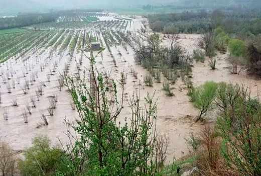 پرداخت ۹۷۰ میلیارد تومان کمک بلاعوض به خسارت دیدگان بخش کشاورزی