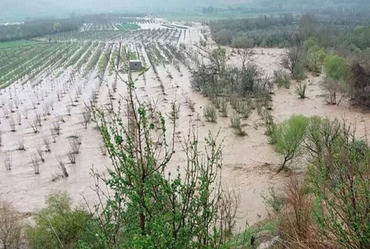 پرداخت ۹۷۰ میلیارد تومان کمک بلاعوض به خسارت دیدگان بخش کشاورزی