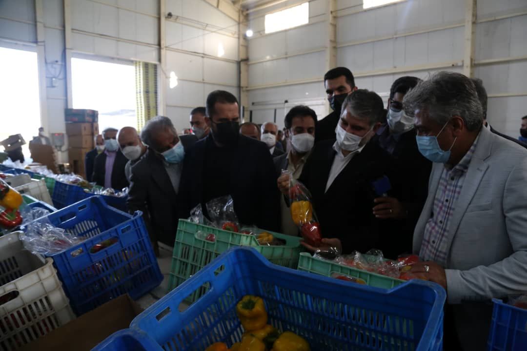 5b8cf56e-d132-460e-be35-e7ccfd144c26