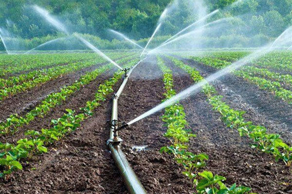 رتبه برتر چهارمحال و بختیاری در اجرای سامانه‌های نوین آبیاری