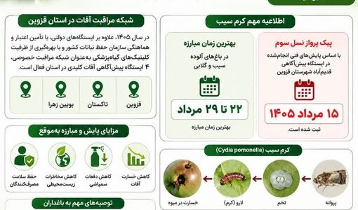 هشدار حفظ نباتات قزوین ، پیک پرواز نسل سوم کرم سیب
