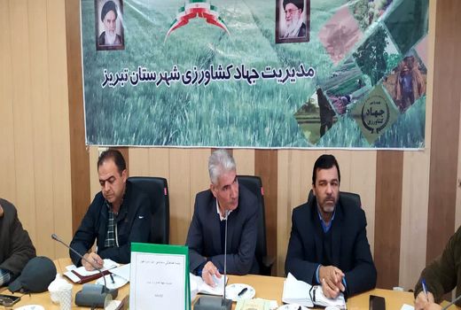 آمارگیری جامع دام سنگین در شهرستان تبریز با مشارکت تعاونی‌های دام انجام می گیرد