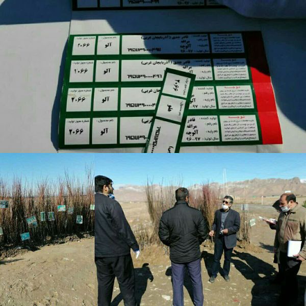 برخورد با فروشندگان غیر مجاز نهال در اسفراین