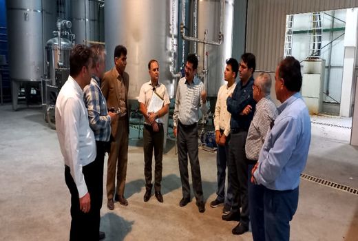 اتحادیه باغداران کشور خریدار خرمای قیروکارزین شد