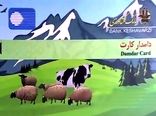 تخصیص بالغ بر2 میلیارد تومان اعتبار برای تسهیلات دامدارکارت در شهرستان درمیان