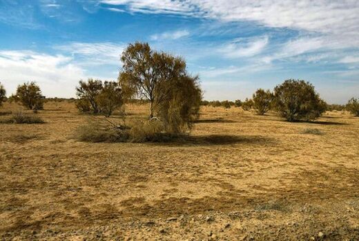 بیابان‌زایی زخمی بر پیکر طبیعت چهارمحال و بختیاری 