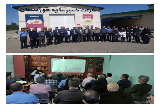 ارتقاء کیفیت نان در دزفول