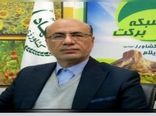 تحقق ۱۱۵درصدی اشتغال در۶ ماهه اول سال بخش کشاورزی استان ایلام