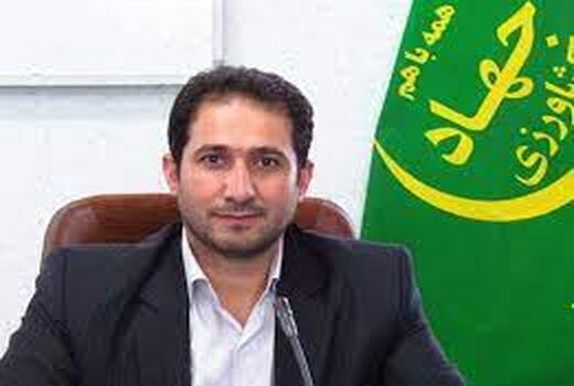 پیش‌بینی تولید بیش از ۲۷ میلیون تن سبزی و صیفی در کشور