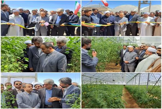 بهره‌برداری از دو واحد گلخانه سبزی و صیفی در خراسان جنوبی