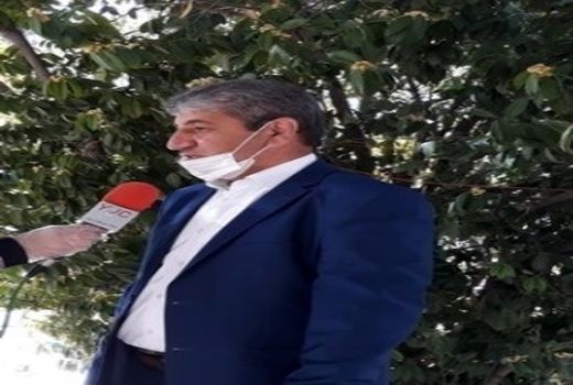 پیش‌بینی برداشت 27 هزار تن سیر تر از مزارع استان کرمان