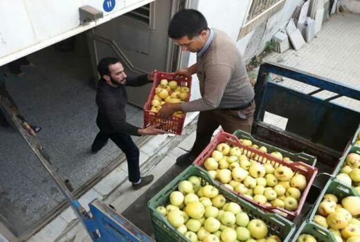 اهدای ۱۲۰ تن محصول سیب درختی در قالب زکات مستحبی توسط باغداران شهرستان دماوند