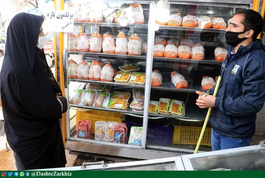 مشکلی در تامین گوشت مرغ در استان قزوین نداریم