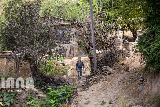 بانک‌ها،طرح‌های توسعه‌ای روستایی رابررسی می‌کنند