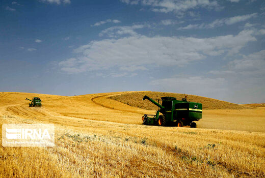 ۳۶ درصد مطالبه گندمکاران کردستانی واریز شده است