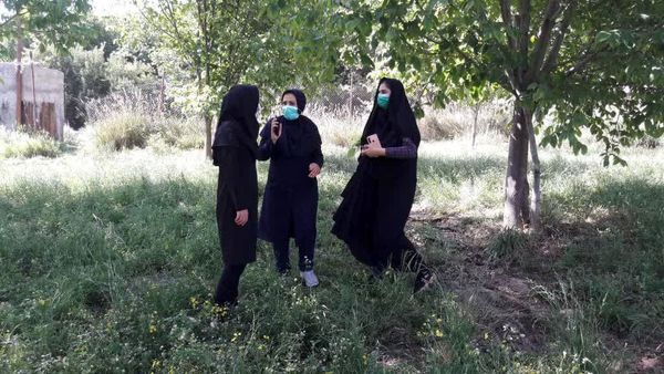 ترغیب باغداران اردلی به اصلاح و نوسازی باغات 