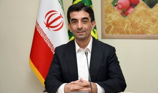 صعود دو پله‌ای آذربایجان‌شرقی در تولید گوشت مرغ/ نقش پررنگ استان در امنیت غذایی کشور