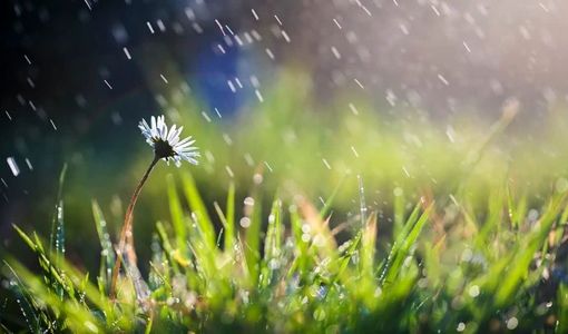 افزایش 20 میلیارد مترمکعبی ظرفیت آب سبز با اصلاح و احیای مراتع