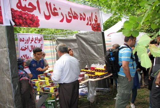 زغال اخته محصولی مناسب برای صادرات