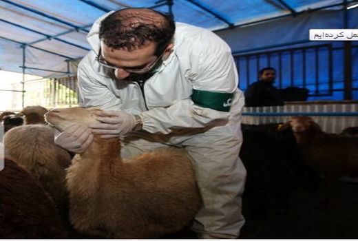 در بخش کشاورزی و دامی موفق عمل کرده‌ایم