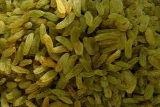 صادرات کشمش استان زنجان به اروپا
