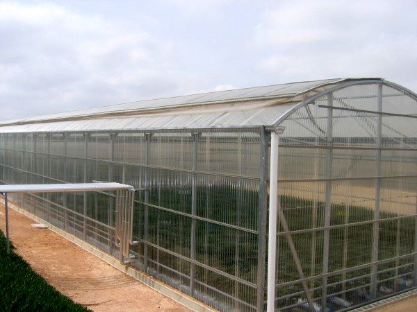 سازه‌های گلخانه‌ای مدرن در هرمزگان توسعه داده می‌شود