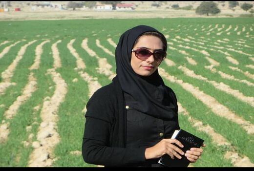 این پژوهشگر برتر، انار شیطان را در لارستان احیا کرد