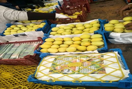 فارس دارای رتبه اول در اخذ پروانه استاندارد تشویقی 