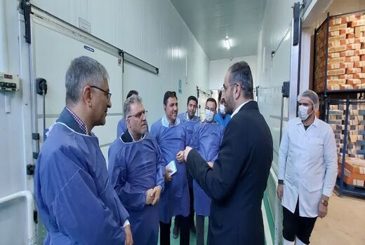 توسعه فرآوری، بسته‌بندی و صادرات ماهی در چهارمحال و بختیاری