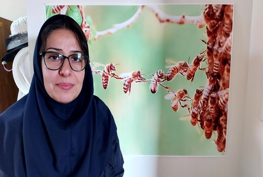 پایش ملی علمی، جامع و اصولی با هدف شناسایی علل تلفات چهارسال اخیر زنبورستان‌ها اجرا شود