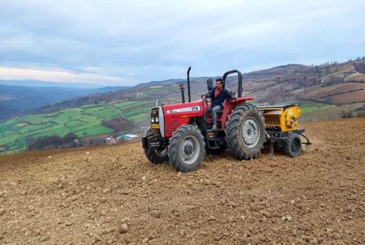 کشت 6 هزار هکتار  گندم در دیمزارهای نکا